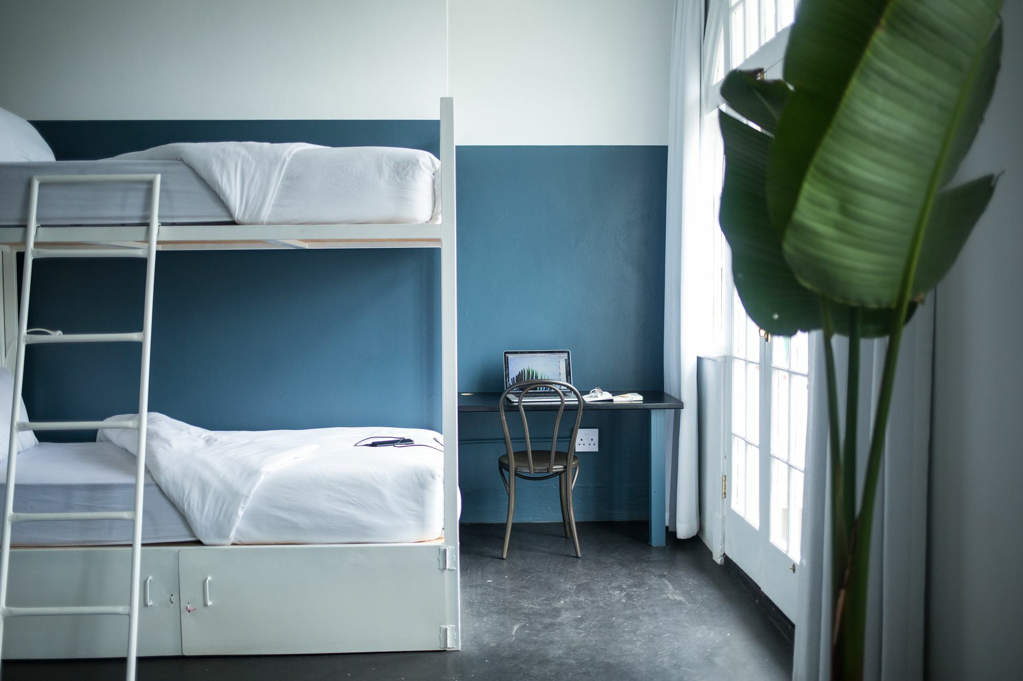 Curiocity Backpackers Дърбан Екстериор снимка